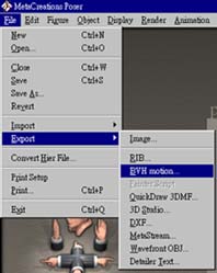 pic03.jpg (18711 bytes)