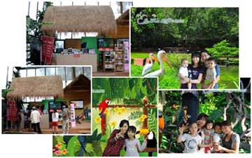 v۰ʦXt Chroma Keying System