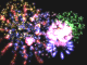 Fireworks 399 KB MPG