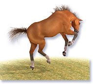 By Heidi Simonsen, click for larger image