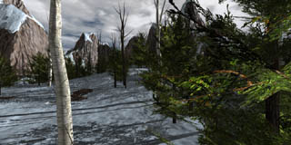 xsnow.jpg (19813 bytes)