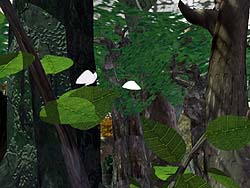 Pic13.jpg (25504 bytes)