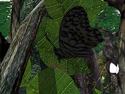 Pic14.jpg (27756 bytes)