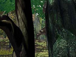 Pic15.jpg (21383 bytes)