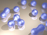 Pic25.JPG (10233 bytes)