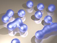 Pic26.JPG (10984 bytes)