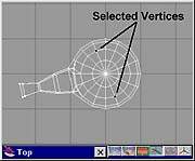 Pic07.JPG (11014 bytes)