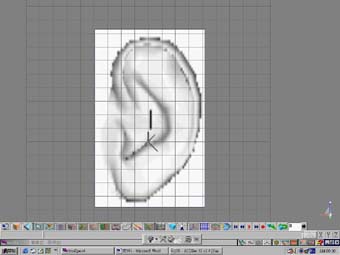 05.jpg (17345 bytes)