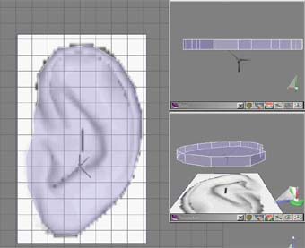 08.jpg (20036 bytes)