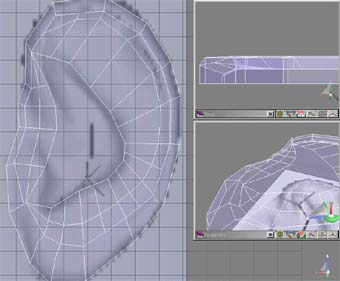 17.jpg (21644 bytes)