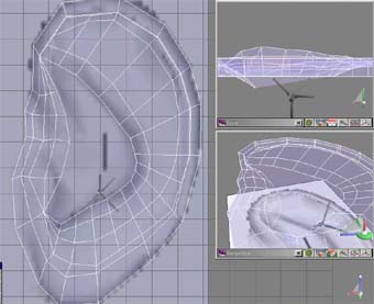 22.jpg (22469 bytes)