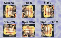 Pic08.jpg (19286 bytes)