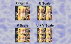 Pic09.jpg (16365 bytes)