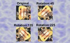 Pic10.jpg (16749 bytes)