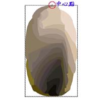 pic16.jpg (10445 bytes)