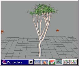 (pic05).jpg (17524.bytes)