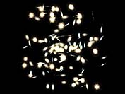 pic14.JPG (10320 bytes)