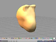 pic06.jpg (10767 bytes)