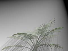 Pic09.jpg (10443 bytes)