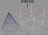 meg1.JPG (14138 bytes)