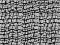 (CAUSTIC).jpg (19897 bytes)