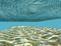 (FLOOR).jpg (16900 bytes)